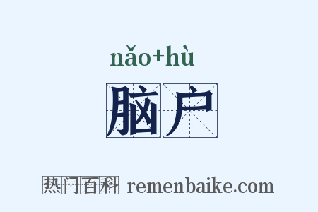 脑户是什么意思的图片